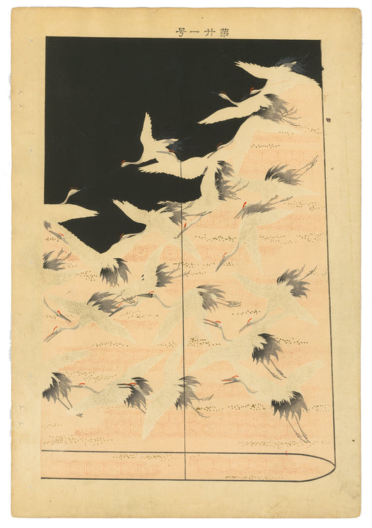 Cranes