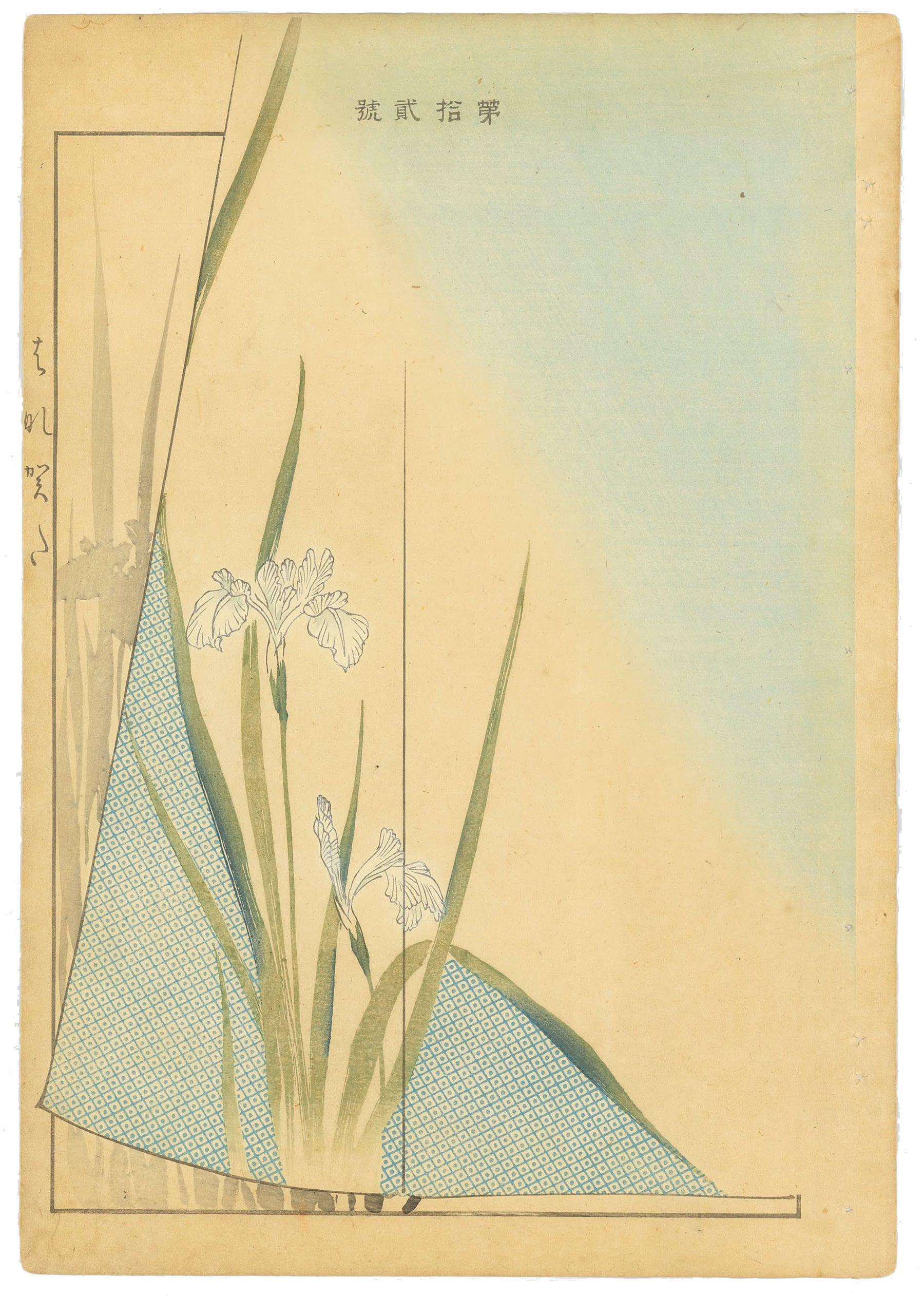 The White Iris