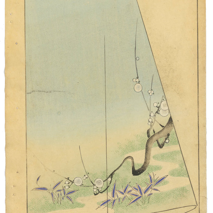 The Plum Blossom